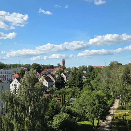 51 Z Widokiem Na Park *