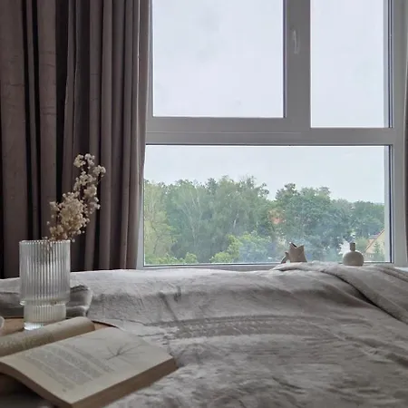 51 Z Widokiem Na Park